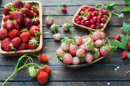 Verschiedene Sorten von Erdbeeren liegen in Holzschalen und auf einer Holzoberfläche verteilt. Links befinden sich klassische, dunkelrote Erdbeeren mit grünen Kelchblättern. In der Mitte sind helle, fast weiß-rosafarbene Erdbeeren mit roten Nüsschen, sogenannte Ananas-Erdbeeren, zu sehen. Rechts oben liegt eine Schale mit kleinen, wild aussehenden, länglichen Walderdbeeren.