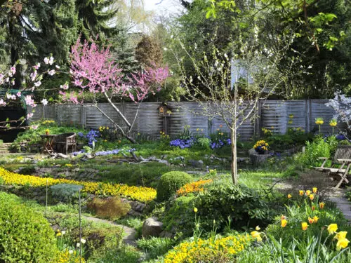 Frühlingsgarten in der Blüte