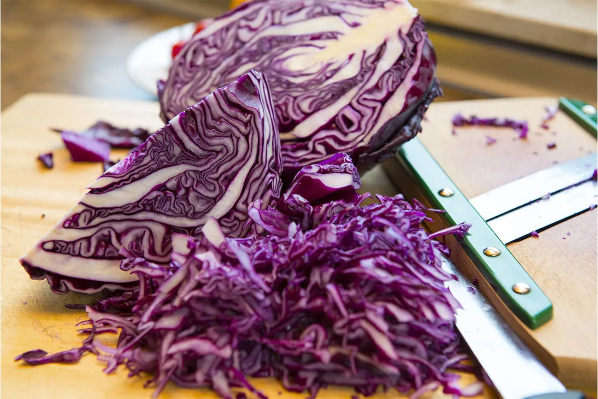 Rotkraut wird geschnitten Foto: AdobeStock_Firma V