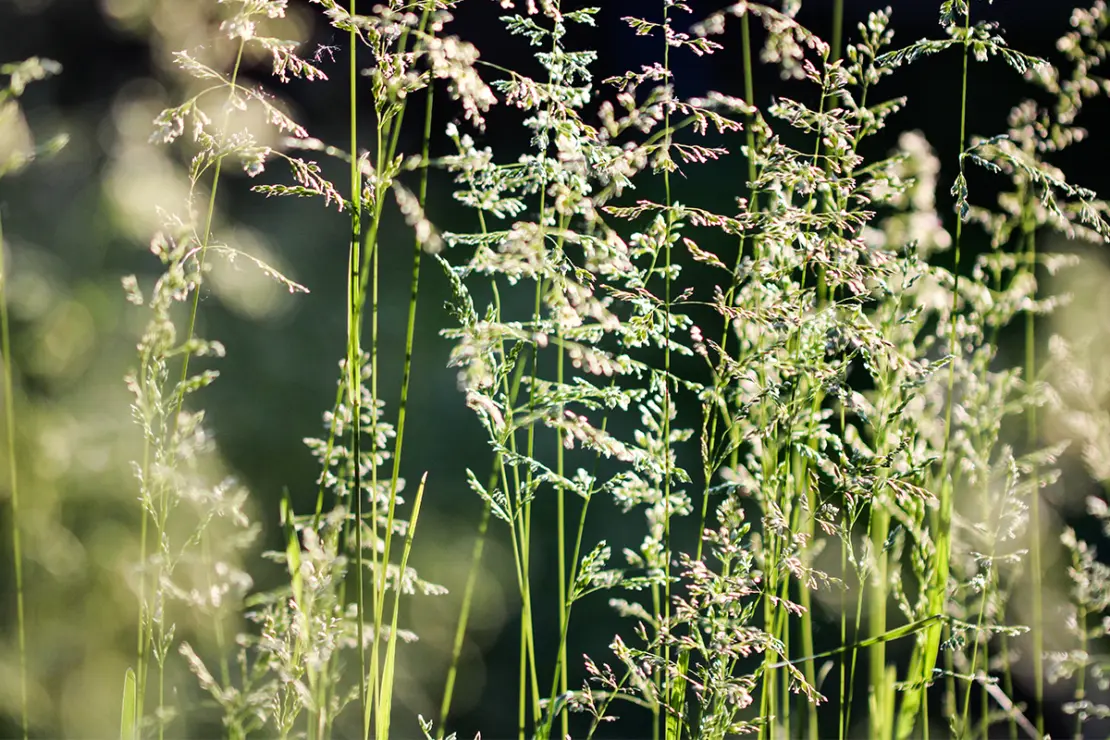 Foto: AdobeStock_PhoenixNeon