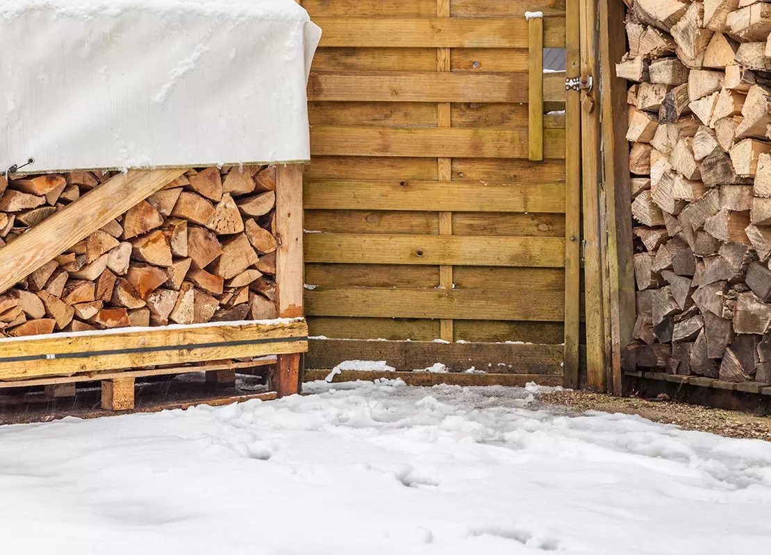 Brennholz lagern Foto: AdobeStock_Lilli