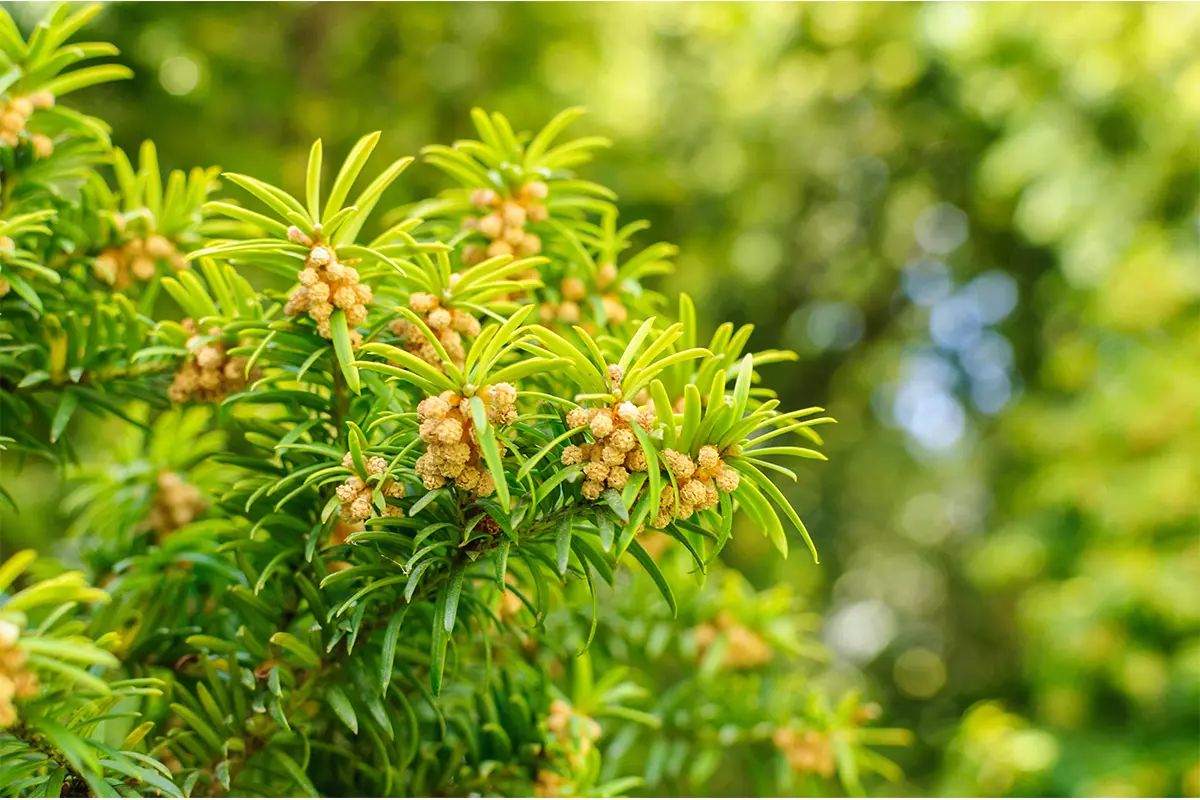 Foto: AdobeStock_Shanserika