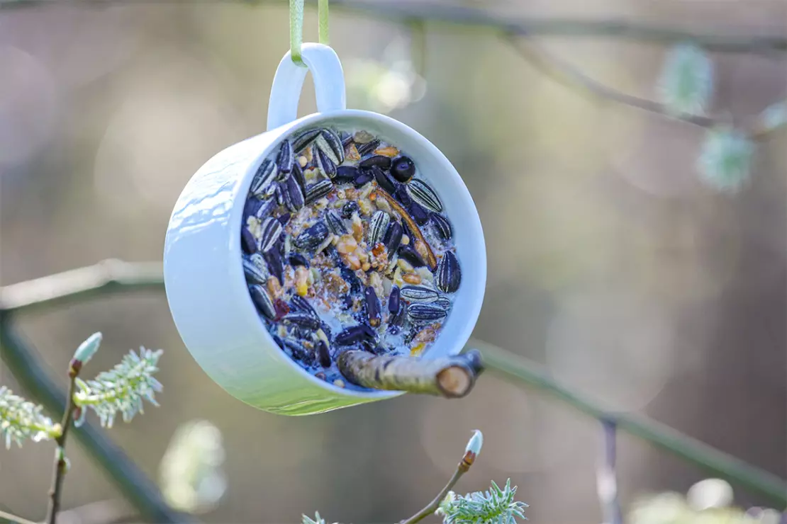 Vogelfutter Foto: AdobeStock_ZonsFoto