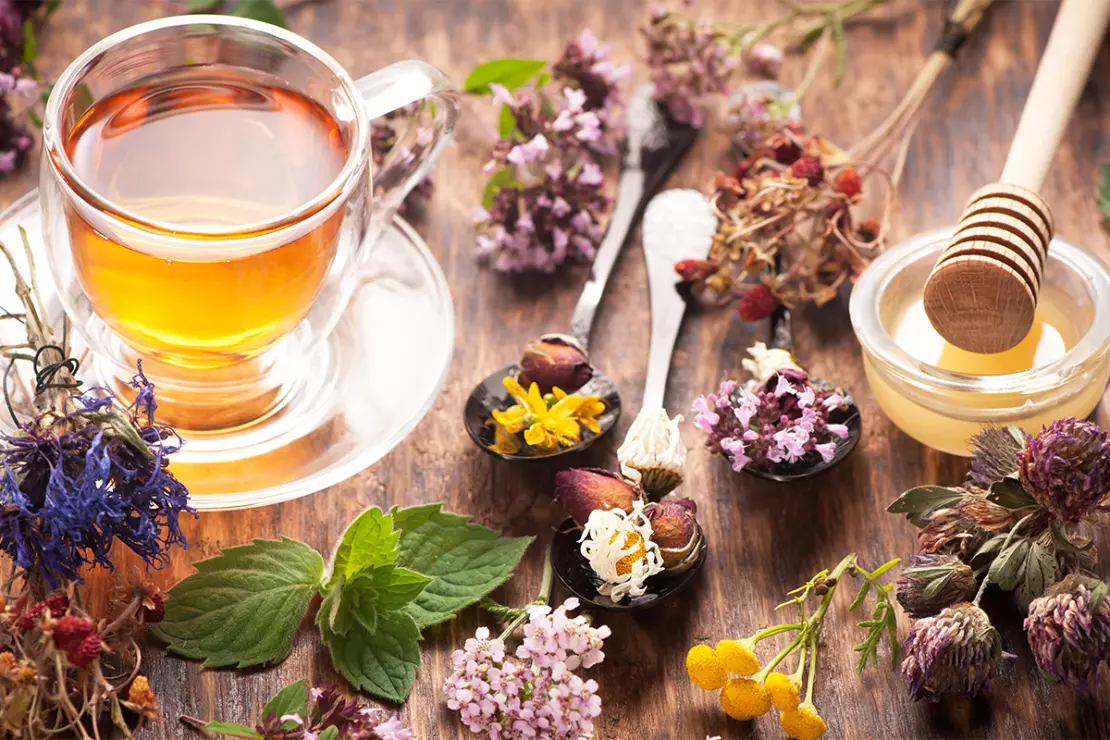 Teekraeuter für KräutereeFoto: AdobeStock_Rozmarina