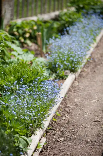 Beeteinfassung Foto: AdobeStock_kasparart