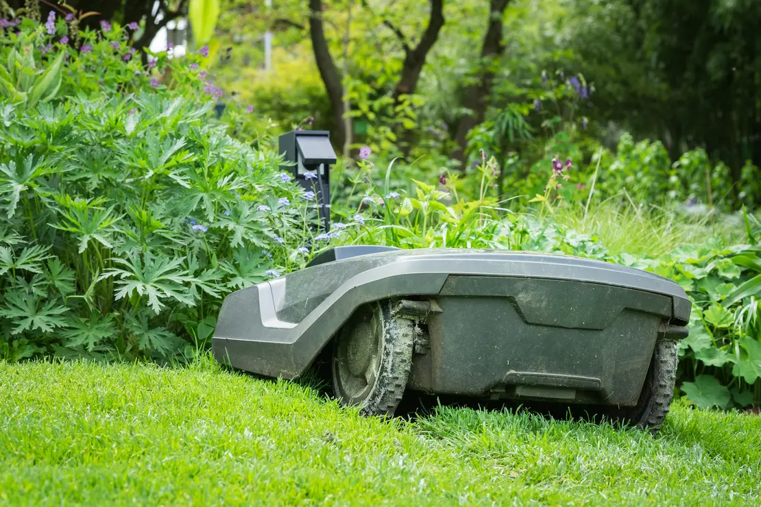 Smart Gardening. Grauer Mähroboter an seiner Ladestation im Garten. Im Hintergrund ein Staudenbeet. Foto: AdobeStock_progarten