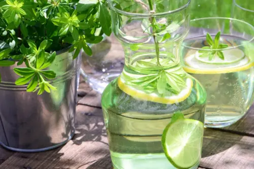 Eine Karaffe mit Maibowle, in der ein Stängel Waldmeister sowie je eine Scheibe Zitrone und Limette schwimmen, steht im Vordergrund. Dahinter links Waldmeister im Topf sowie rechts ein Glas mit Bowle