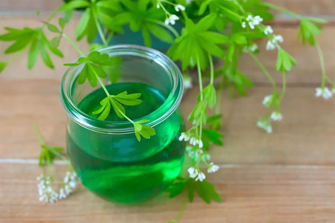 Ein kleines Glas Waldmeistersirup steht auf einem Holztisch neben frisch gepflücktem Waldmeister. An dem Kraut sind weisse Blüten zu sehen. [Foto: AdobeStock_rainbow33]