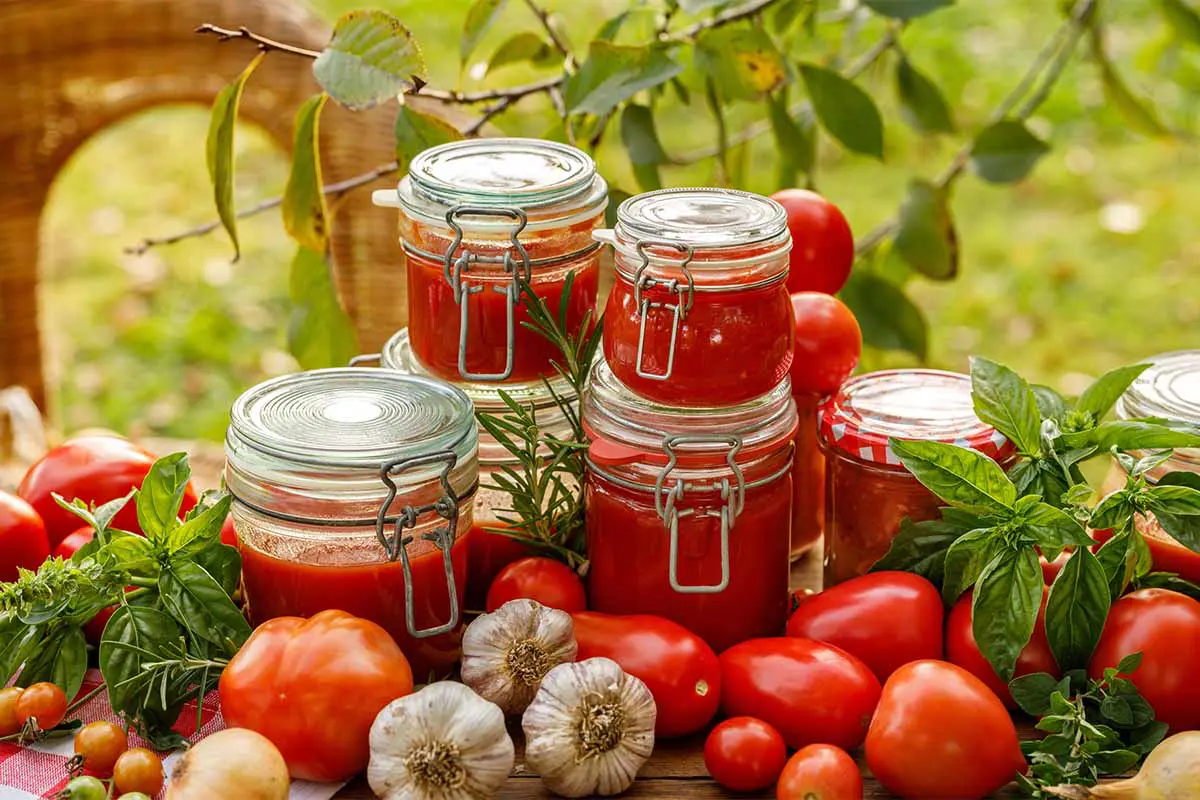 Tomaten-Kräuter-Grillsauce in Einmachgläsern [Foto: AdobeStock_zi3000]
