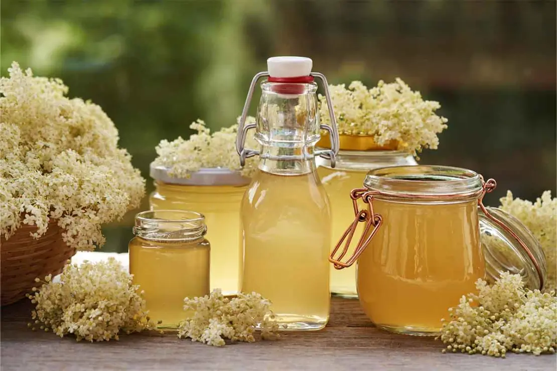 Holunderblütensirup in Gläsern und Flaschen abgefüllt. Hier ist im Hintergrund ein Garten zu sehen. Zwischen dem Sirup liegen Holunderblüten. [Foto: AdobeStock_Madeleine Steinbach]