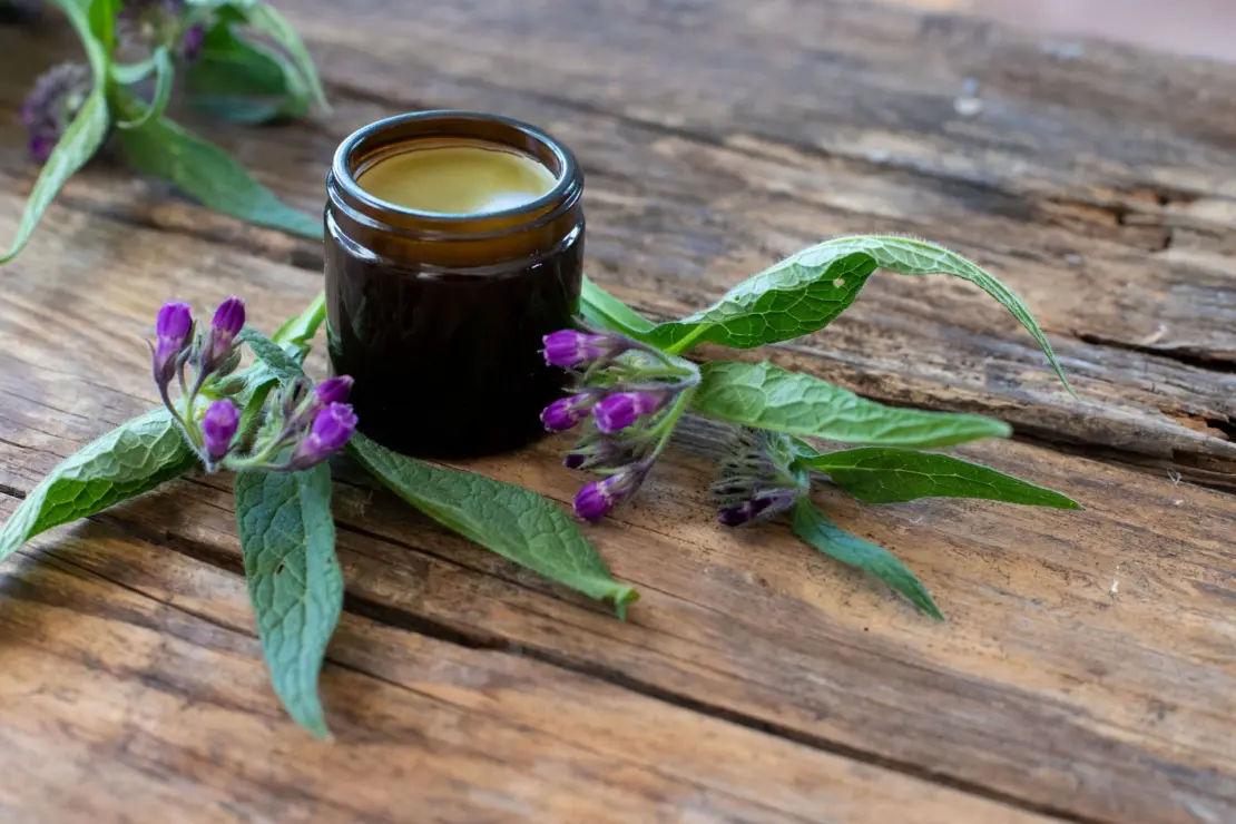 Kleiner Cremetigel aus braunem Glas gefüllt mit einer gelblichen Creme steht auf einem Holztisch, daneben liegen Beinwell-Stängel mit violetten Blüten.