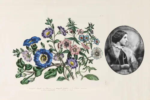 Ovales Porträt von Jane Loudon (1807–1858) kombiniert mit einer Blumentafel aus ihrem Werk „The Ladies’ Flower-Garden of Ornamental Annuals“ (1842)