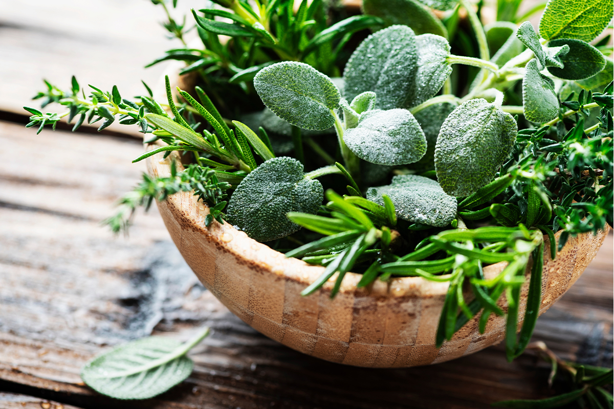 Kräuter trocknen [Foto: AdobeStock_Nolonely]