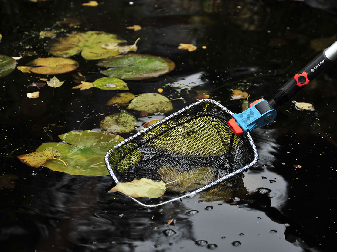 Wie Sie Ihren Gartenteich reinigen GartenFlora