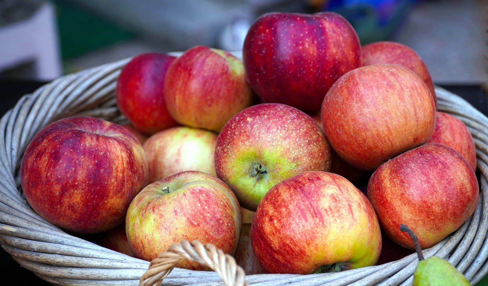Äpfel lagern – Was Sie beachten sollten | GartenFlora