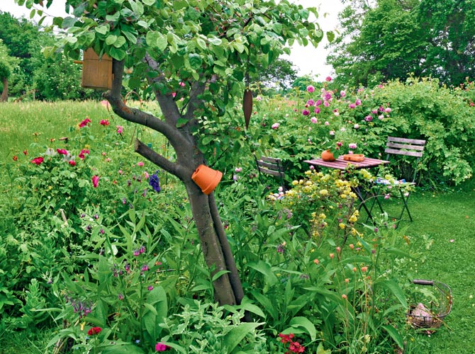 Kleiner Garten mit Nachbargarten und niedriger Hecke begrenzt