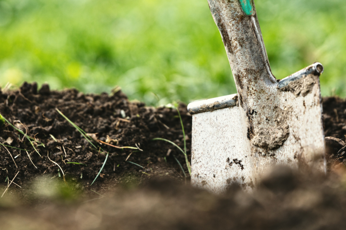 No Dig Gardening Gärtnern ohne Umgraben GartenFlora