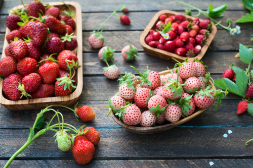 Verschiedene Sorten von Erdbeeren liegen in Holzschalen und auf einer Holzoberfläche verteilt. Links befinden sich klassische, dunkelrote Erdbeeren mit grünen Kelchblättern. In der Mitte sind helle, fast weiß-rosafarbene Erdbeeren mit roten Nüsschen, sogenannte Ananas-Erdbeeren, zu sehen. Rechts oben liegt eine Schale mit kleinen, wild aussehenden, länglichen Walderdbeeren.