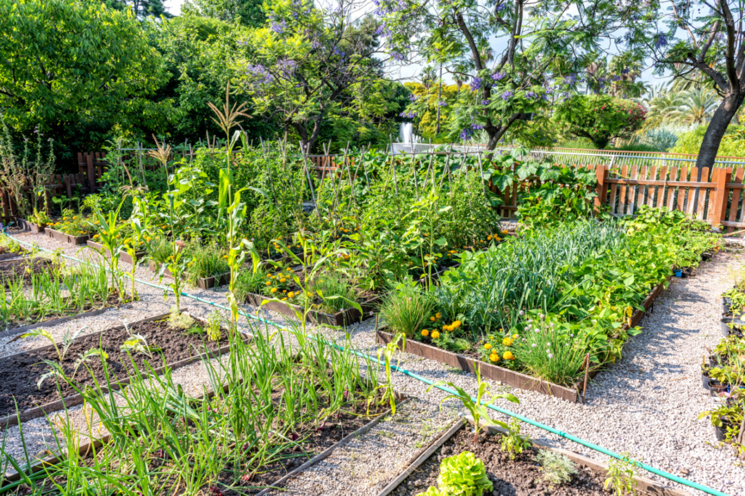 Gemüsegarten im Winter planen GartenFlora