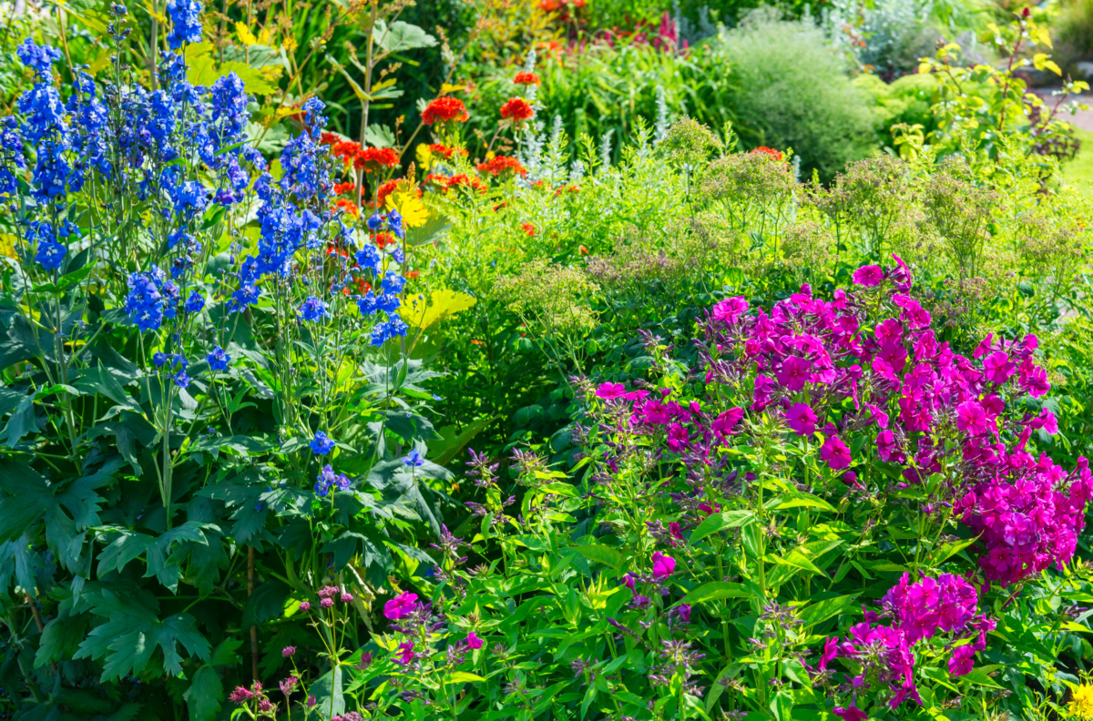 Staudenbeet anlegen Die wichtigsten Regeln GartenFlora