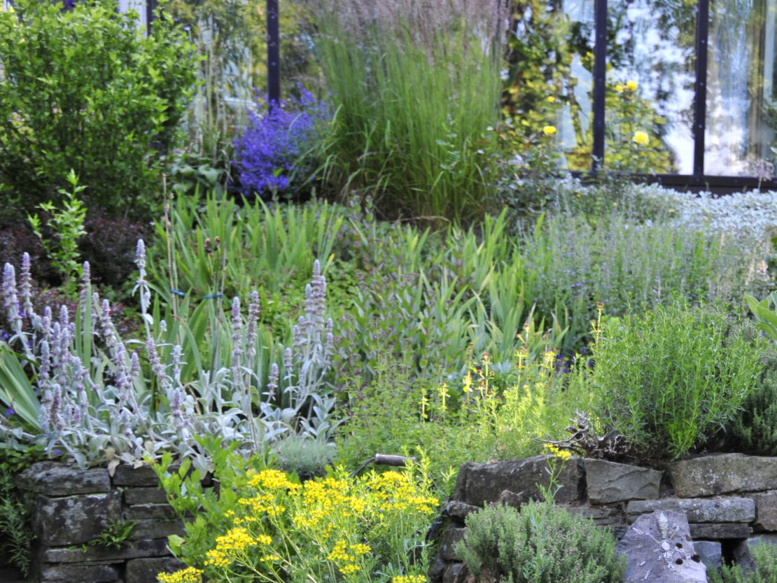 Mediterrane Kräuter GartenFlora