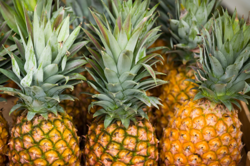 In drei Reihen aufgestellte reife Ananasfrüchte. Foto: AdobeStock_Janelle