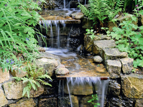 Einen Bachlauf anlegen GartenFlora