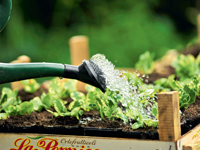 14 Tipps zur passenden Wahl der Blumenerde