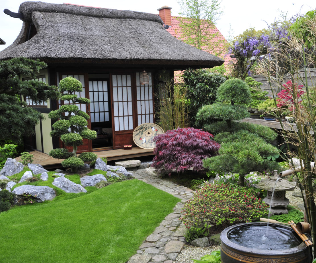 Bonsai im Garten mit einem Haus