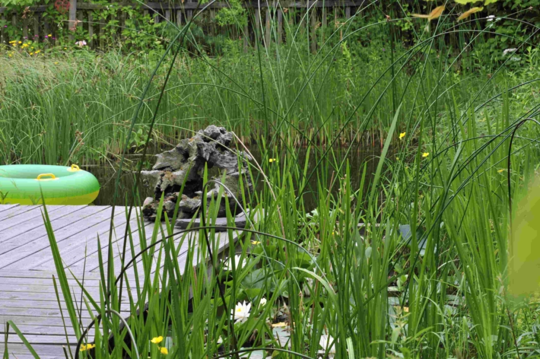 Steg zu Schwimmteich, auf dem ein Schwimmring schwimmt