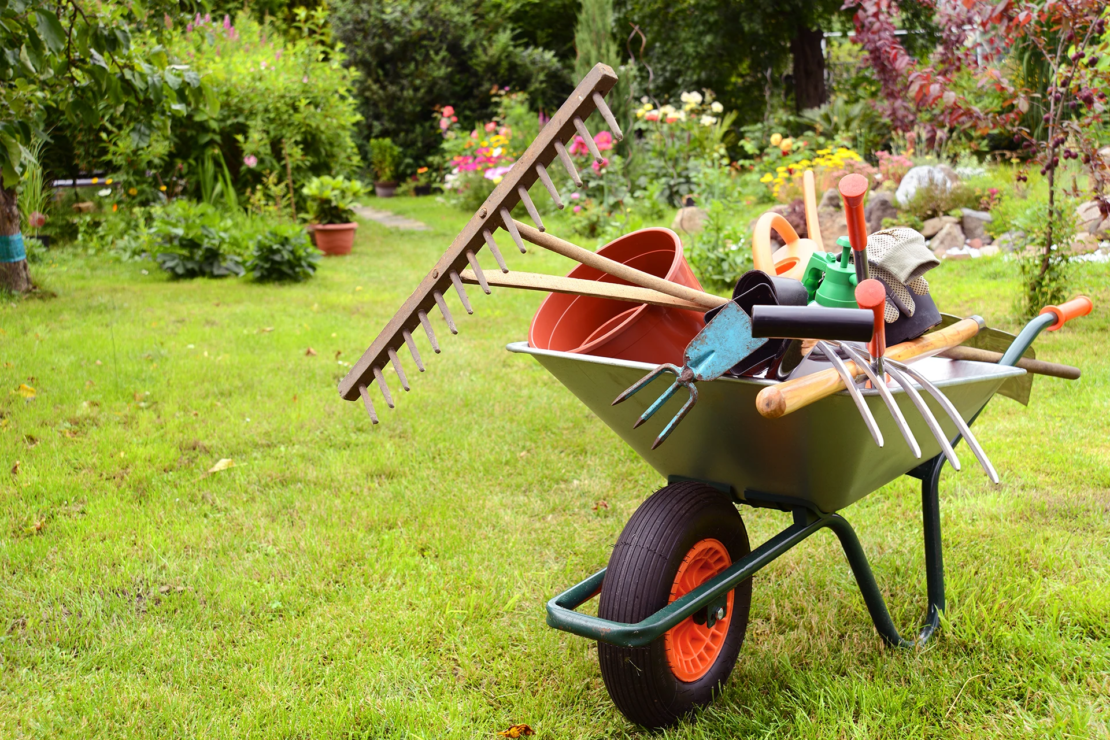 Gartenwerkzeug: Eine Schubkarre, gefüllt mit verschiedensten Gartenwerkzeugen, steht auf einer gemähten Wiese im Garten. Foto: AdobeStock_K.-U. Häßler