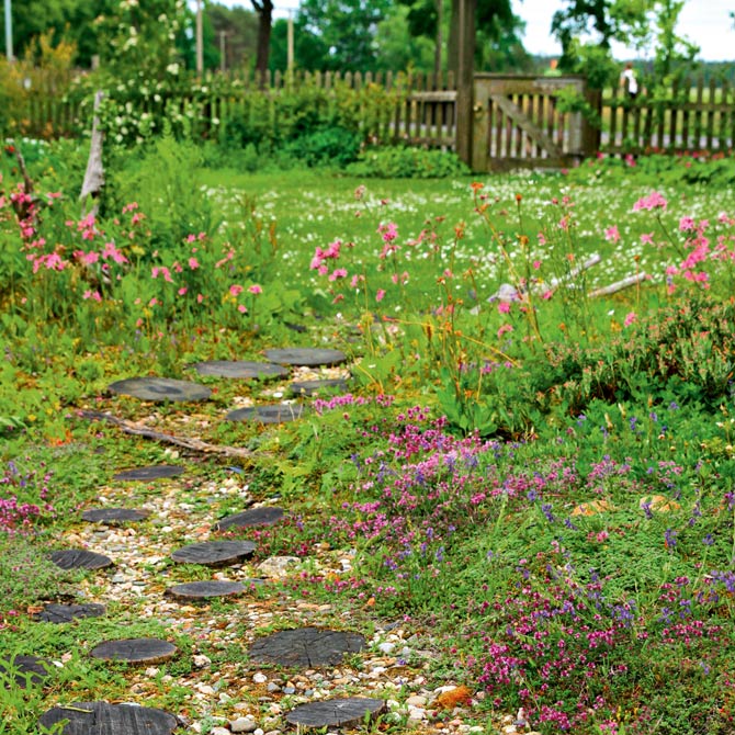 Heidegarten mit Blumenwiese im Spreewald