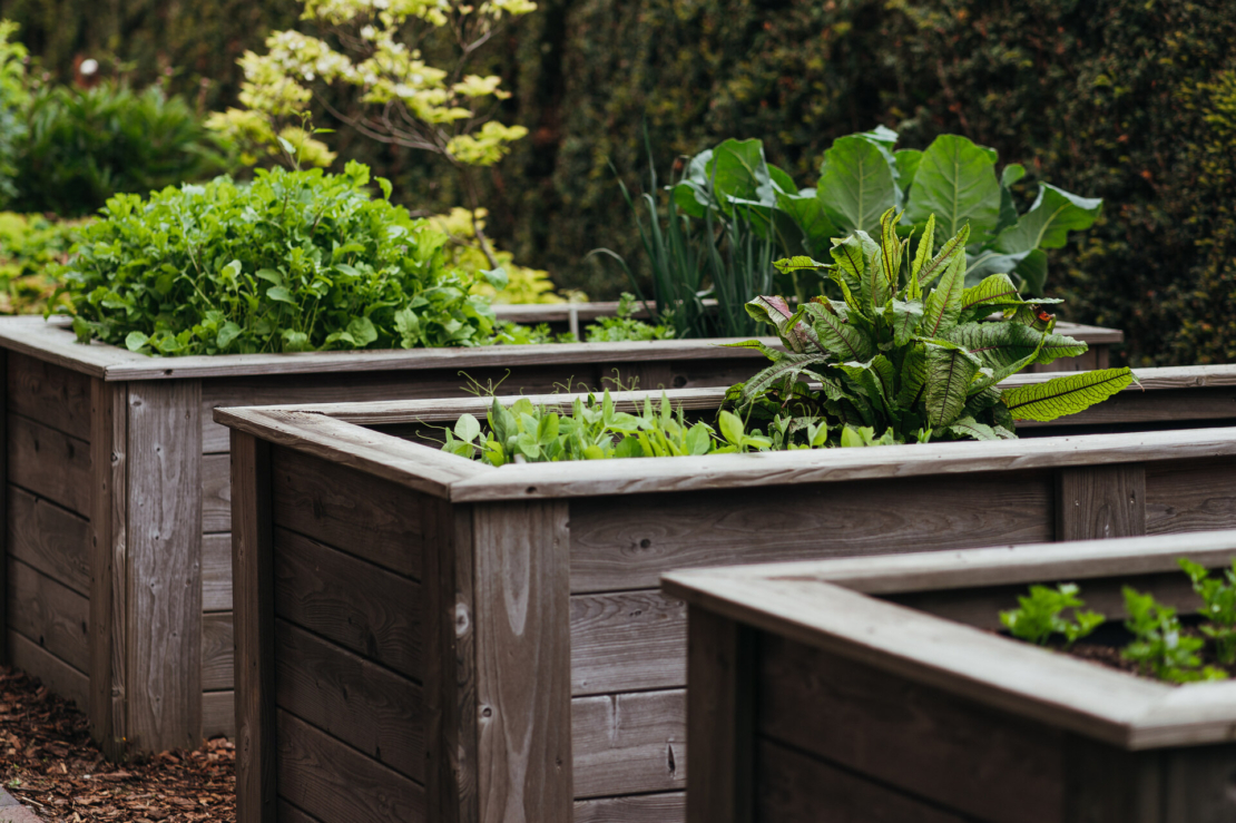 No Dig Gardening Gärtnern ohne Umgraben GartenFlora
