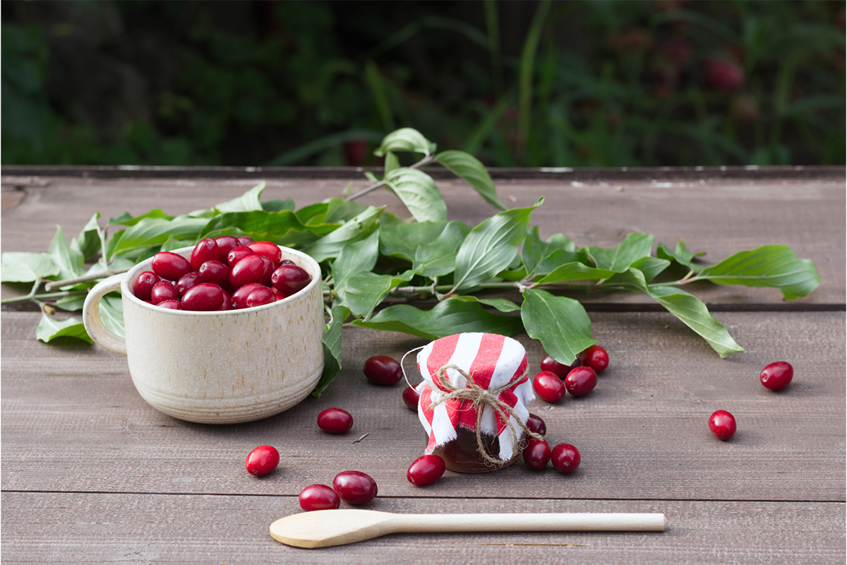 Kornelkirschen auf einem Tisch neben Konfitüre Foto: AdobeStock_Avoferten