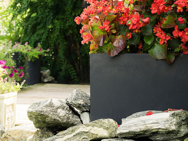Kreative Ideen zur Gartengestaltung mit Blumenkübeln | GartenFlora