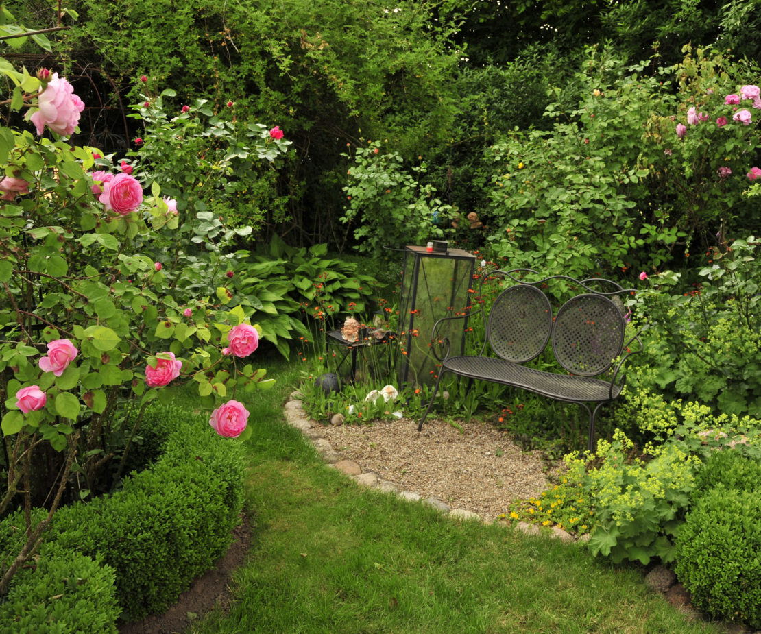 Rosengarten mit Sitzbank