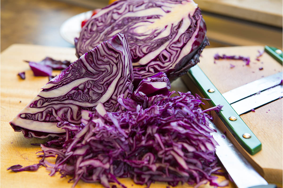 Rotkraut wird geschnitten Foto: AdobeStock_Firma V