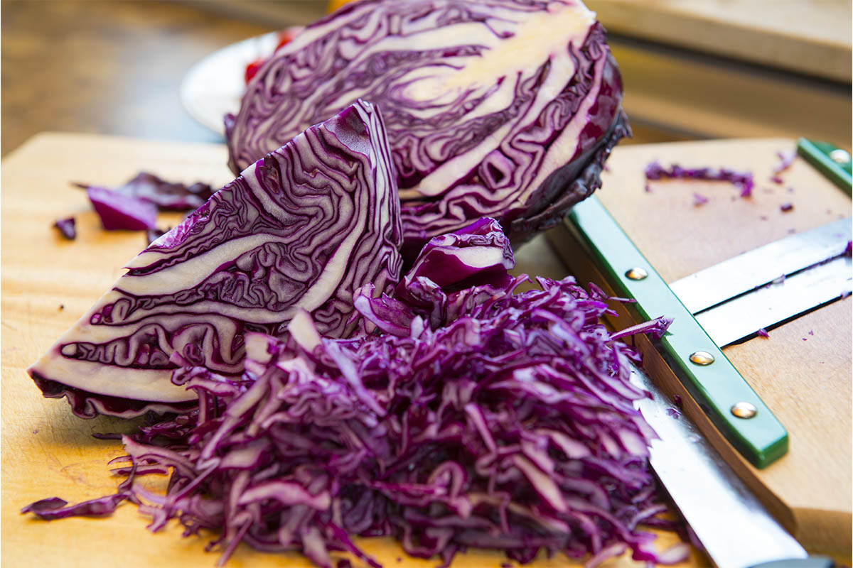 Rotkraut wird geschnitten Foto: AdobeStock_Firma V