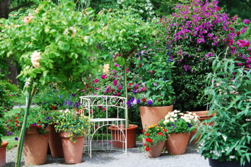 Terrasse mit vielen Topfpflanzen. Foto: AdobeStock_Uwe J. Messer