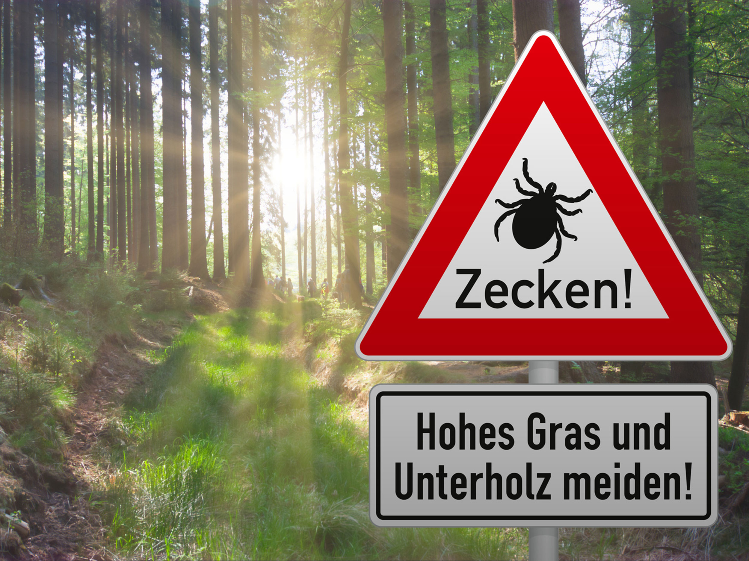 Zeckenschutz GartenFlora