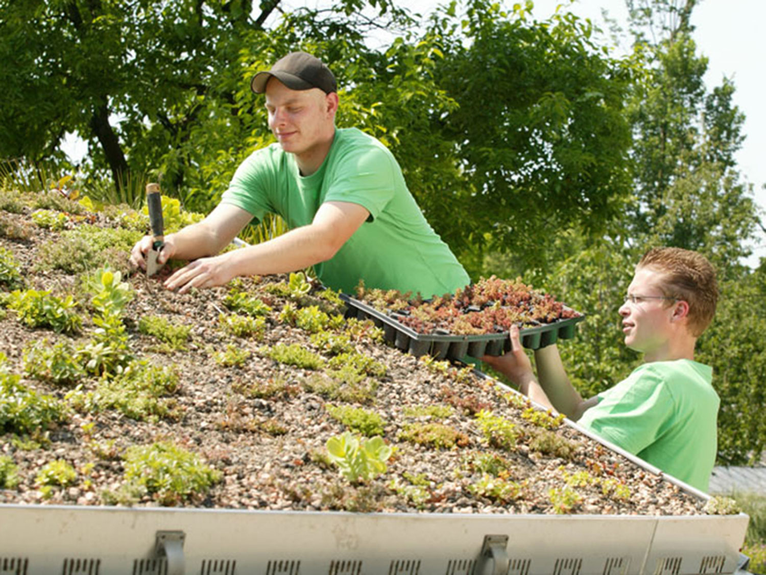 Ausbildung Im Garten Und Landschaftsbau Ideal Fur