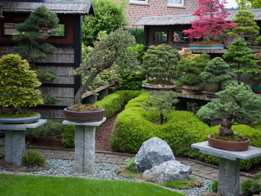 Bonsai Garten Gestaltung