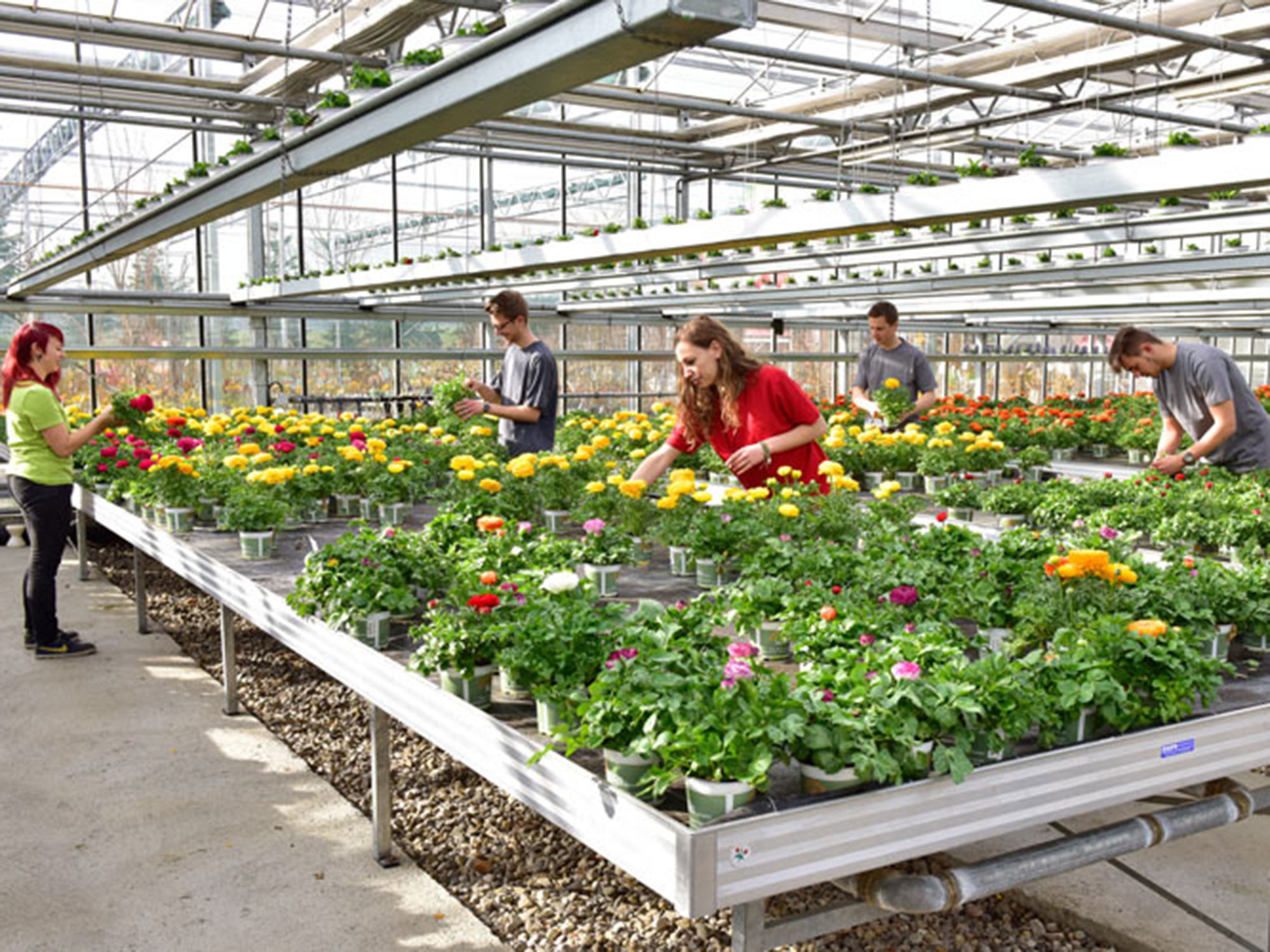 59+ Gärtner Umgebung, Baumschule, gärtnerei, gartengestaltung oder