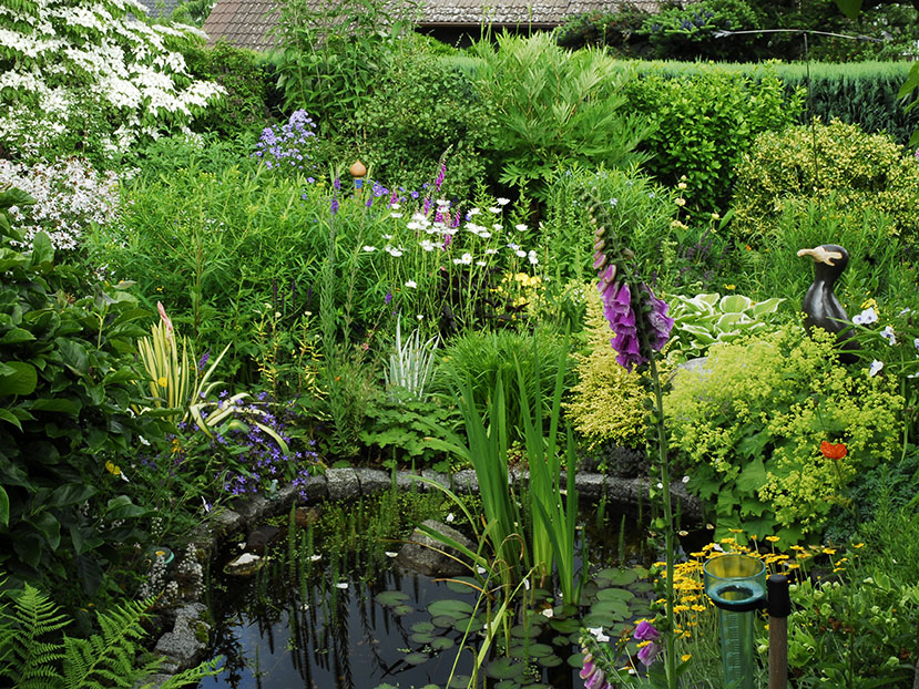Kleine Gärten gestalten GartenFlora
