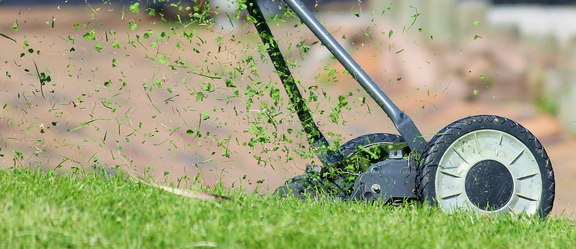 Rasenpflege im Frühjahr 6 Tipps für ein sattes Grün GartenFlora
