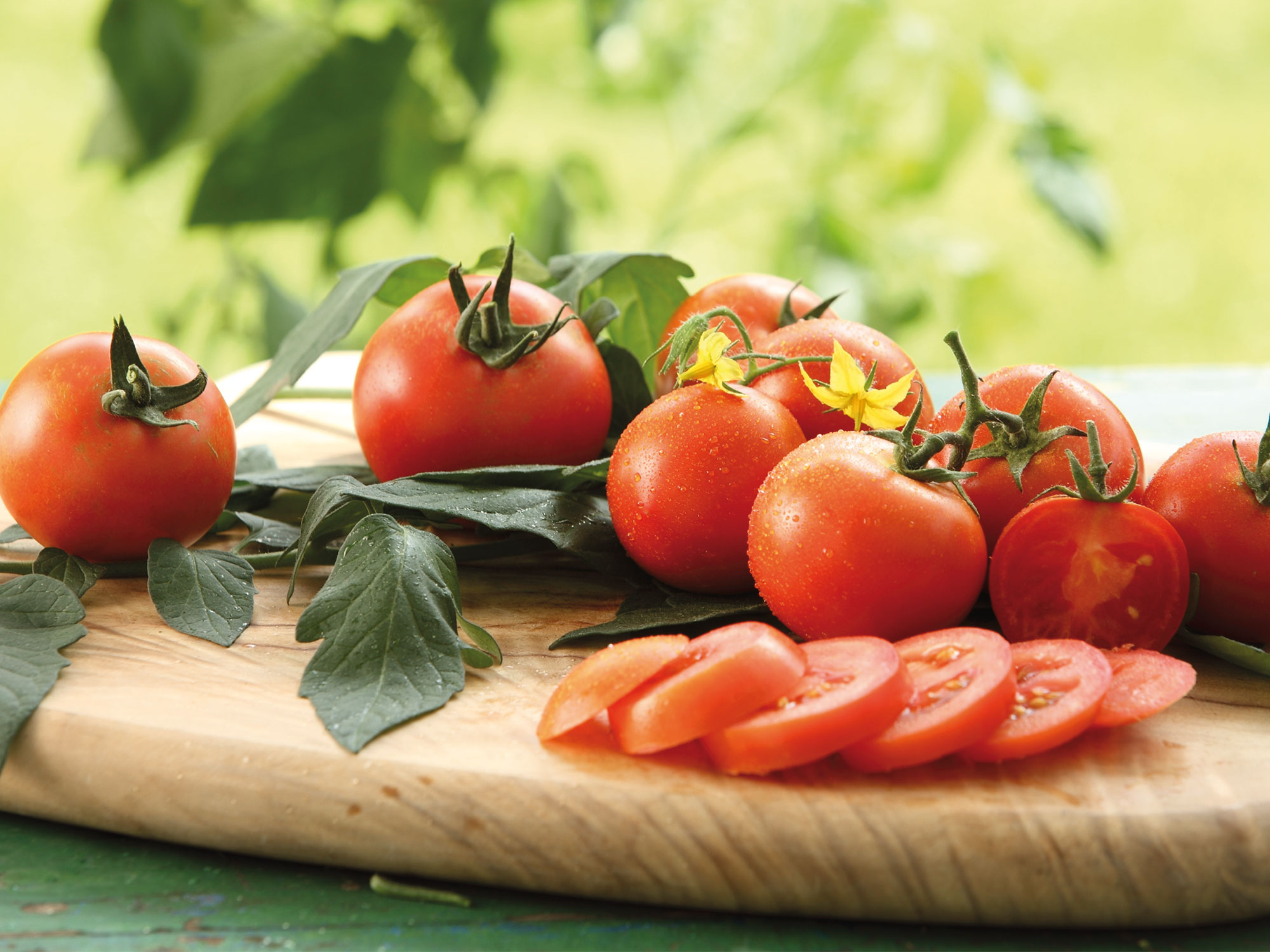 Tomaten auf griechische Art | GartenFlora