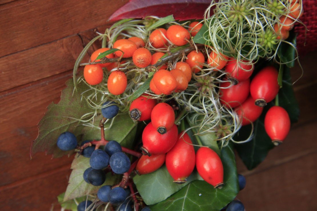 Hagebutte Die vielfältige Frucht der Rosen GartenFlora Hagebutte Die vielfältige Frucht der Rosen GartenFlora