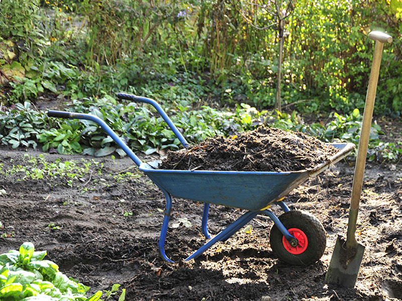 Biologisch düngen Gut für Pflanze und Umwelt GartenFlora