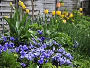 Blauer Garten bei Uta Beil