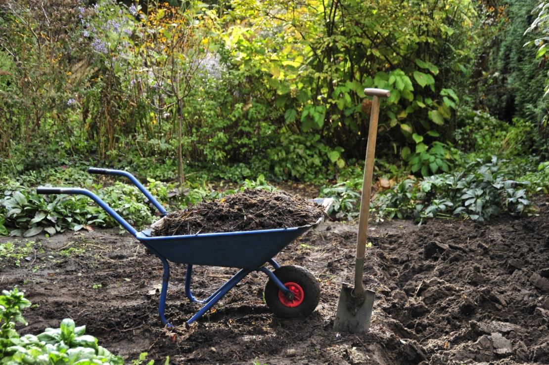 Mit Kompost gefüllte Schubkarre im Gartenbeet. Foto: © GartenFlora/Christian Gehler